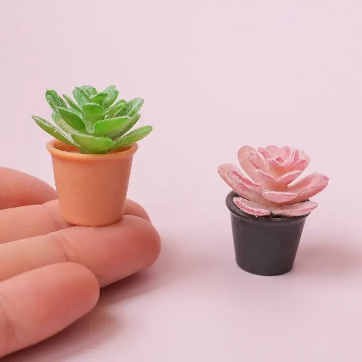 Mini Story Co. Magnets