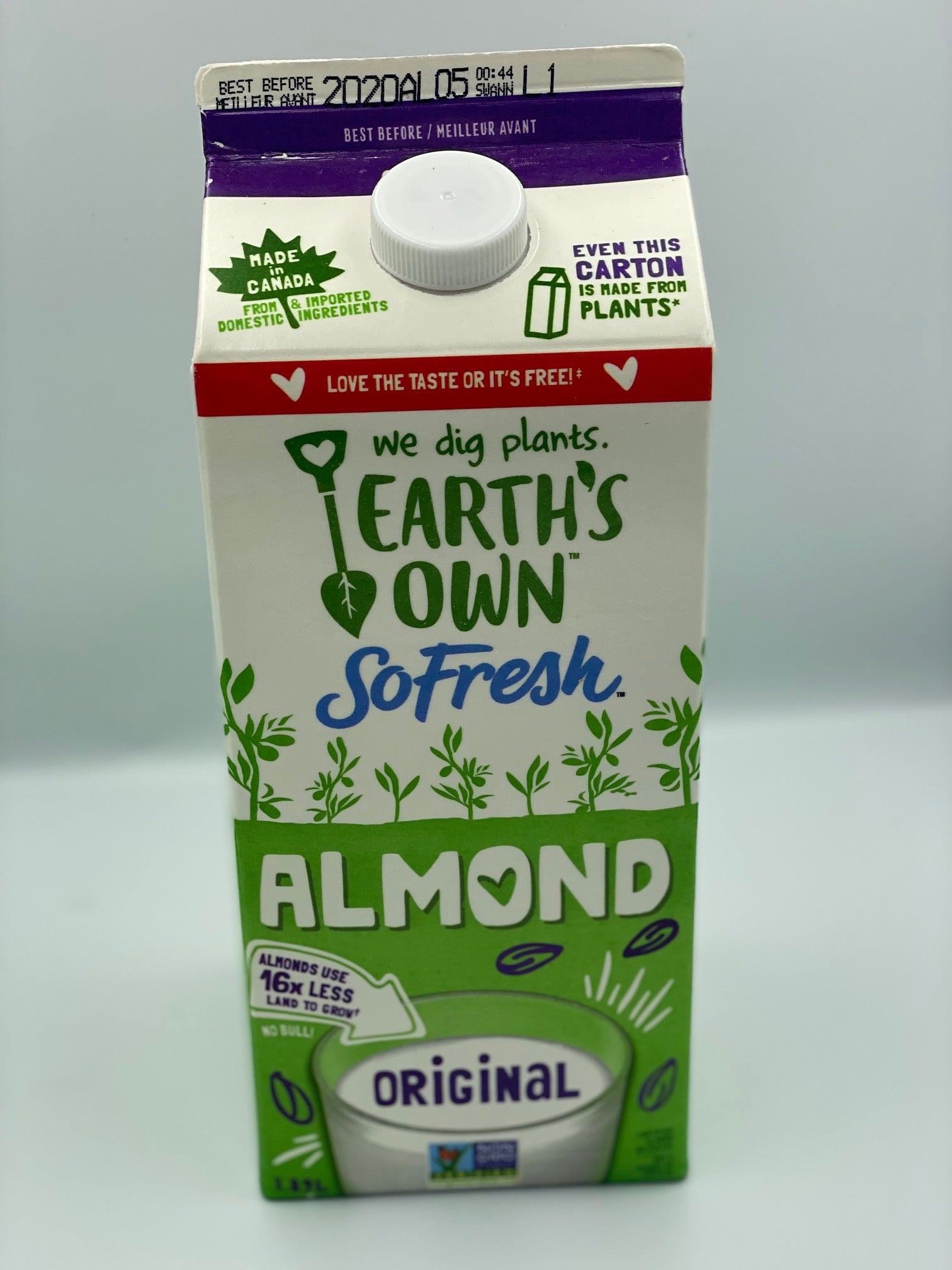 Plant Milk Alternatives