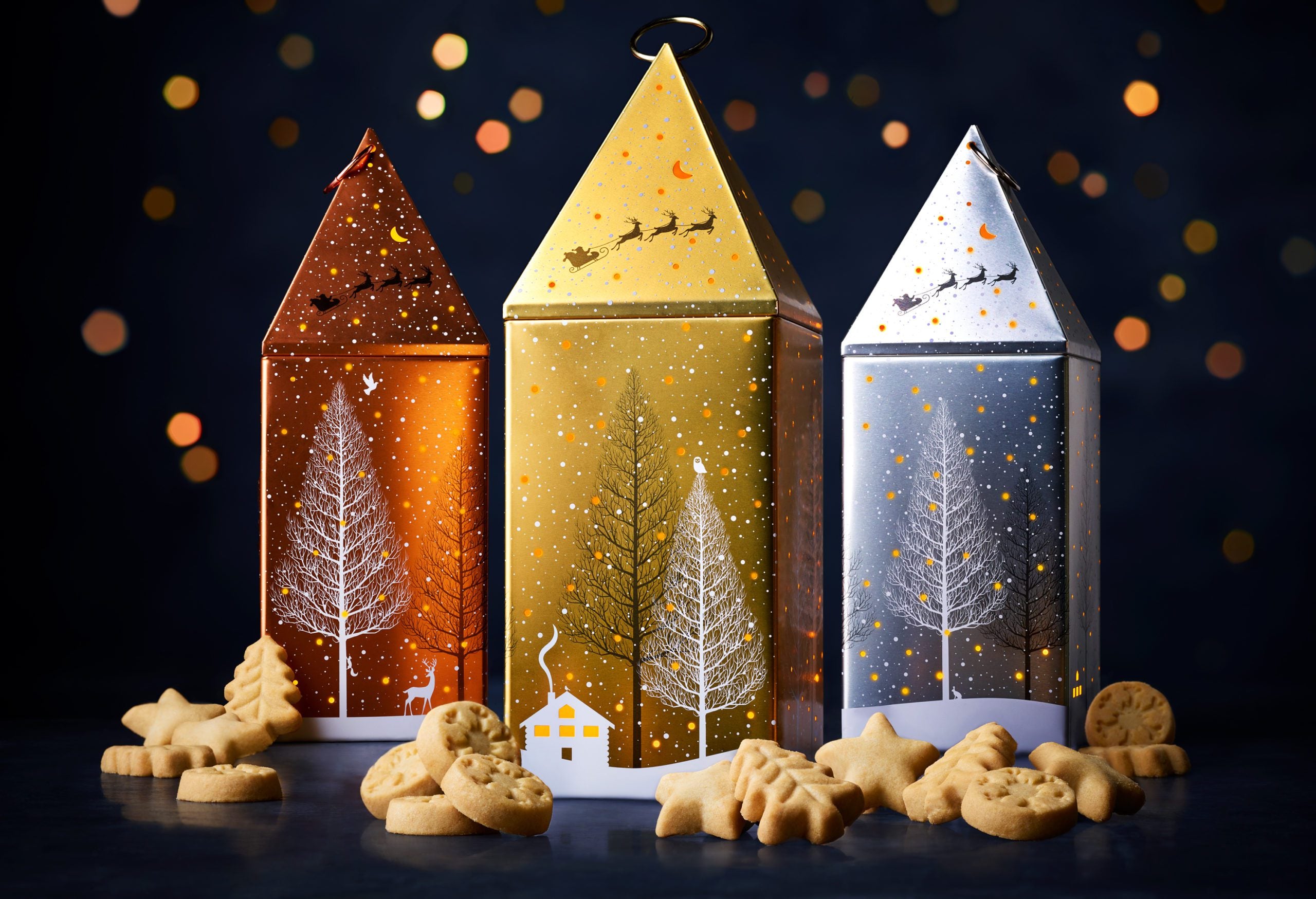 Light up Lantern