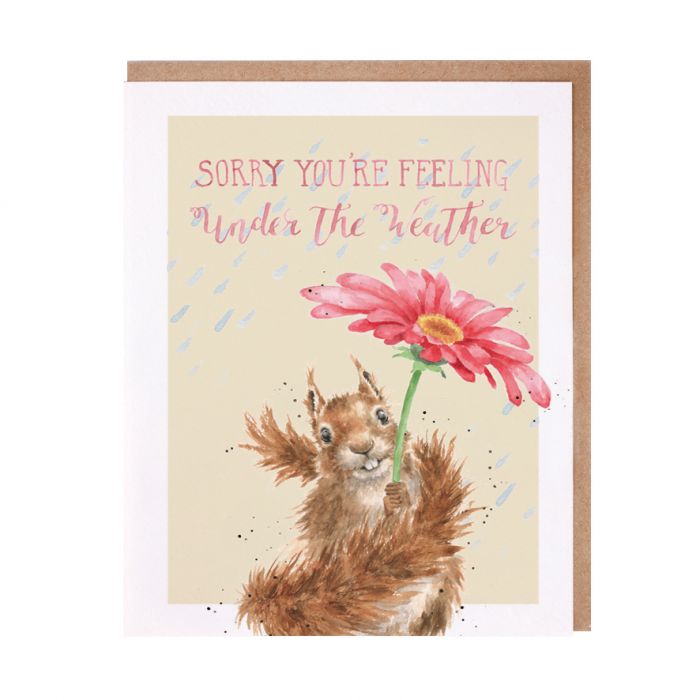Wrendale Get Well & Thinking of You Cards